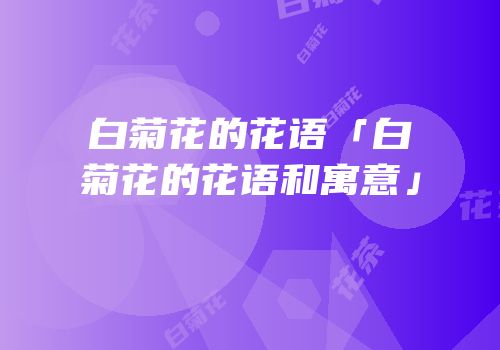 白菊花的花语「白菊花的花语和寓意」