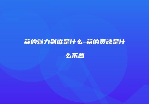 茶的魅力到底是什么-茶的灵魂是什么东西