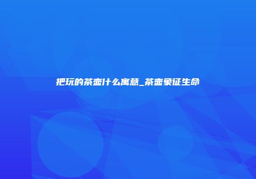 把玩的茶壶什么寓意_茶壶象征生命