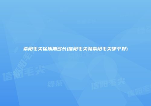紫阳毛尖保质期多长(信阳毛尖和紫阳毛尖哪个好)