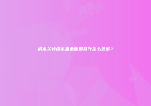 桐木关特级木盒金骏眉茶叶怎么品尝？
