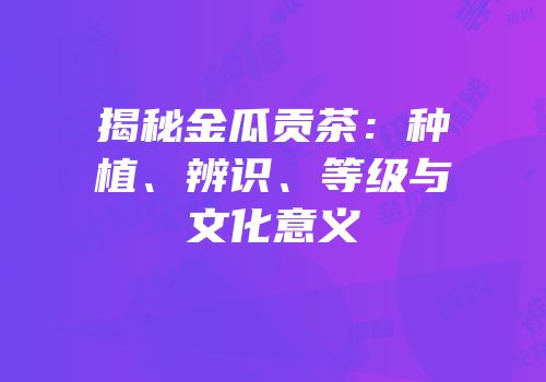 揭秘金瓜贡茶：种植、辨识、等级与文化意义