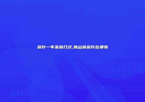 茶叶一年采摘几次,佛山摘茶叶在那有