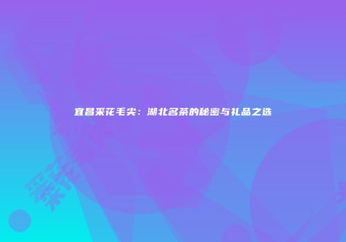 宜昌采花毛尖：湖北名茶的秘密与礼品之选