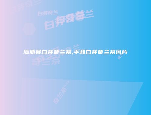 漳浦县白芽奇兰茶,平和白芽奇兰茶图片