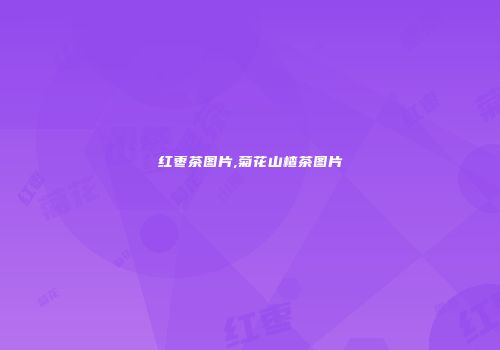 红枣茶图片,菊花山楂茶图片