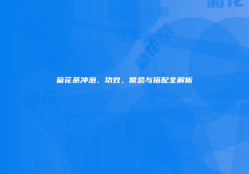 菊花茶冲泡、功效、禁忌与搭配全解析