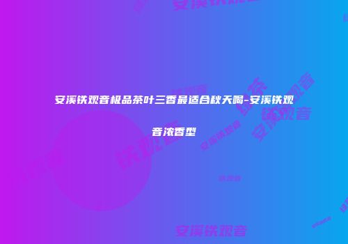 安溪铁观音极品茶叶三香最适合秋天喝-安溪铁观音浓香型
