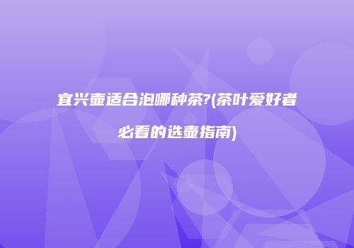 宜兴壶适合泡哪种茶?(茶叶爱好者必看的选壶指南)