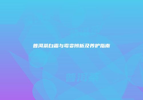 普洱茶白霜与霉变辨析及养护指南