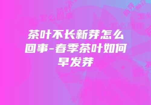 茶叶不长新芽怎么回事-春季茶叶如何早发芽
