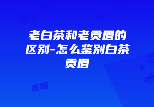 老白茶和老贡眉的区别-怎么鉴别白茶贡眉