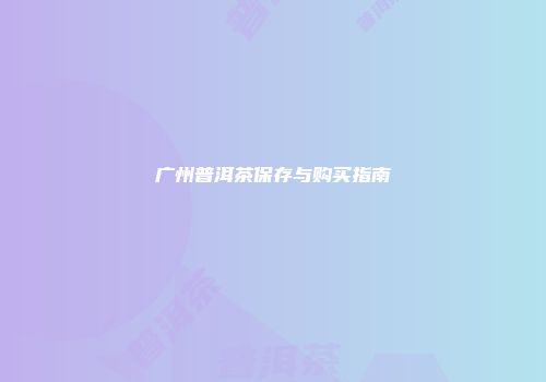 广州普洱茶保存与购买指南
