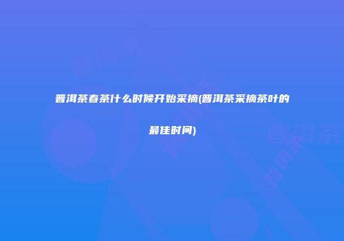 普洱茶春茶什么时候开始采摘(普洱茶采摘茶叶的最佳时间)