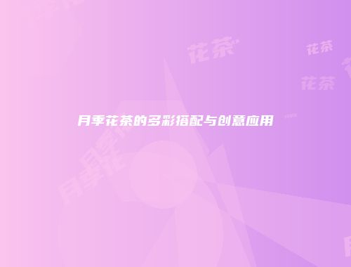 月季花茶的多彩搭配与创意应用
