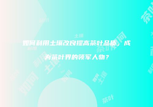 如何利用土壤改良提高茶叶品质，成为茶叶界的领军人物？