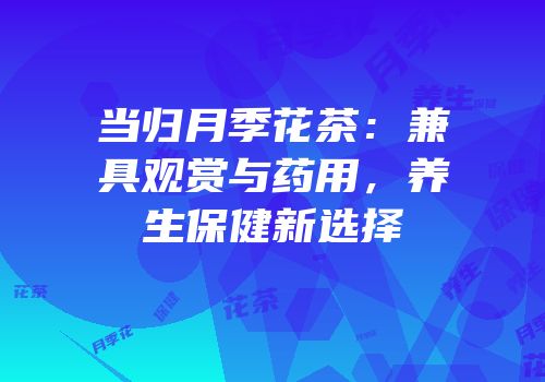 当归月季花茶：兼具观赏与药用，养生保健新选择