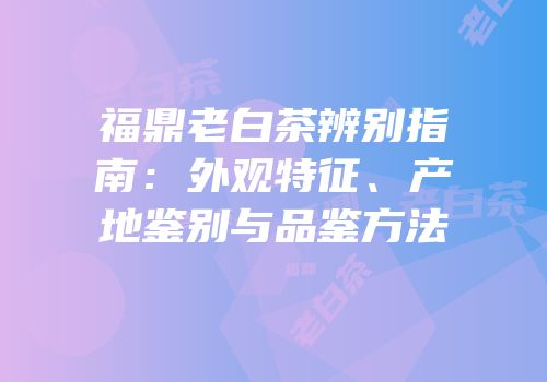 福鼎老白茶辨别指南：外观特征、产地鉴别与品鉴方法