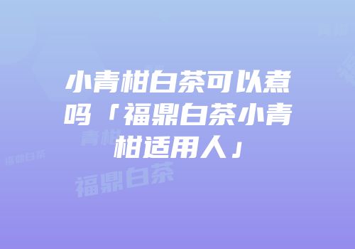 小青柑白茶可以煮吗「福鼎白茶小青柑适用人」