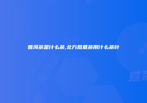 普洱茶是什么茶,北方熬煮茶用什么茶叶