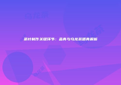 茶叶制作关键环节：品青与乌龙茶晒青解析