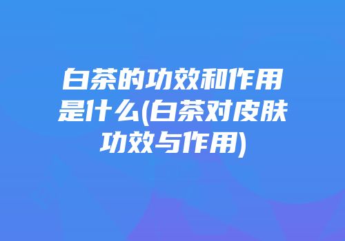 白茶的功效和作用是什么(白茶对皮肤功效与作用)