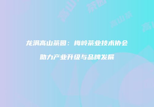 龙涓高山茶园：梅岭茶业技术协会助力产业升级与品牌发展