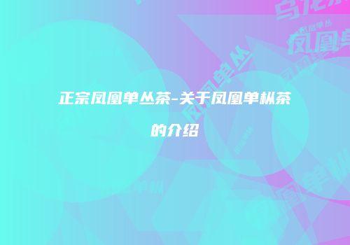正宗凤凰单丛茶-关于凤凰单枞茶的介绍