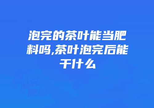 泡完的茶叶能当肥料吗,茶叶泡完后能干什么