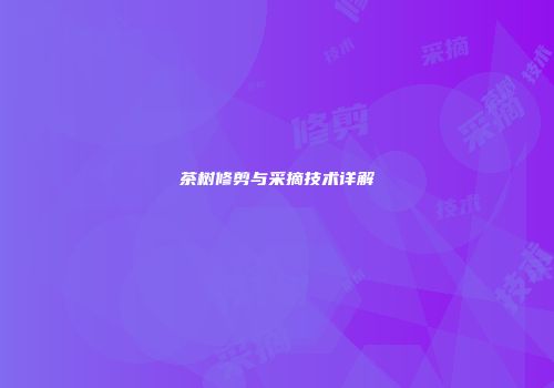 茶树修剪与采摘技术详解