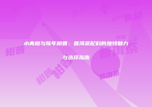 小青柑与陈年柑普：普洱茶配料的独特魅力与选择指南