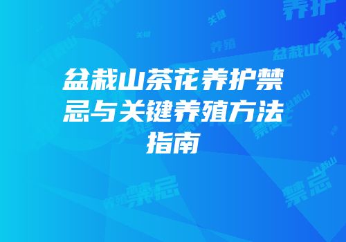 盆栽山茶花养护禁忌与关键养殖方法指南