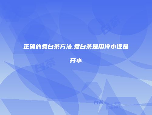正确的煮白茶方法,煮白茶是用冷水还是开水