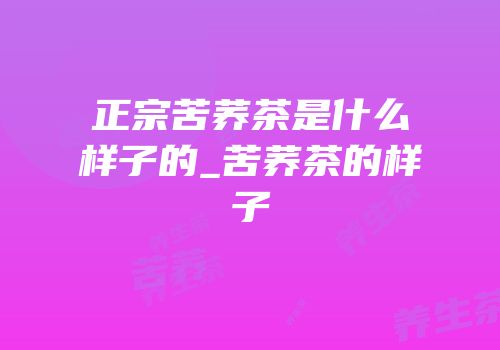 正宗苦荞茶是什么样子的_苦荞茶的样子