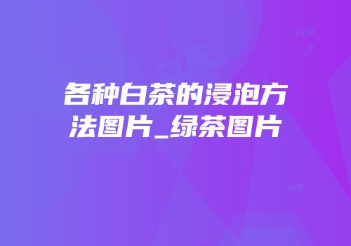各种白茶的浸泡方法图片_绿茶图片