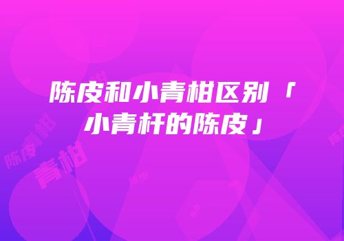 陈皮和小青柑区别「小青杆的陈皮」