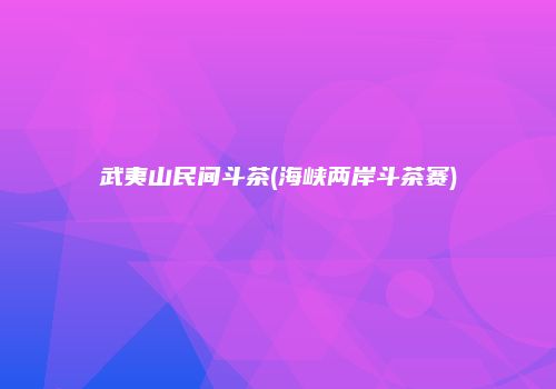 武夷山民间斗茶(海峡两岸斗茶赛)