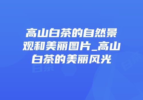 高山白茶的自然景观和美丽图片_高山白茶的美丽风光