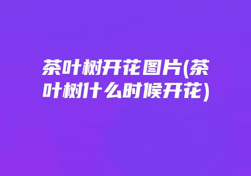 茶叶树开花图片(茶叶树什么时候开花)
