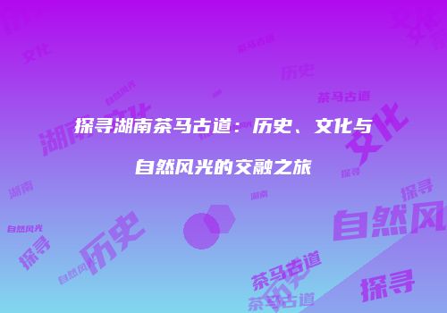 探寻湖南茶马古道：历史、文化与自然风光的交融之旅