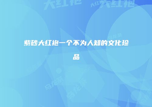 紫砂大红袍一个不为人知的文化珍品