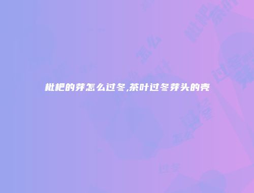 枇杷的芽怎么过冬,茶叶过冬芽头的壳