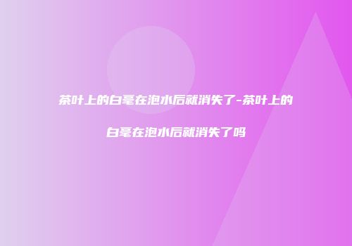 茶叶上的白毫在泡水后就消失了-茶叶上的白毫在泡水后就消失了吗