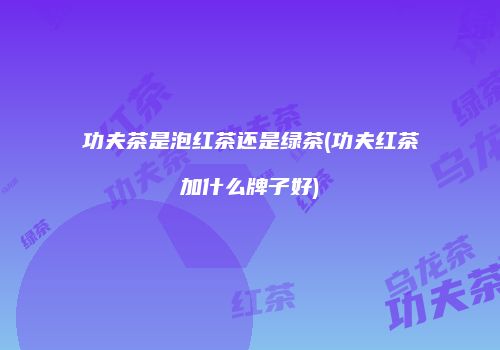 功夫茶是泡红茶还是绿茶(功夫红茶加什么牌子好)