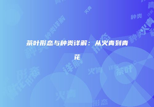 茶叶形态与种类详解：从火青到青花