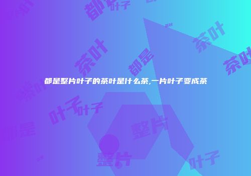 都是整片叶子的茶叶是什么茶,一片叶子变成茶