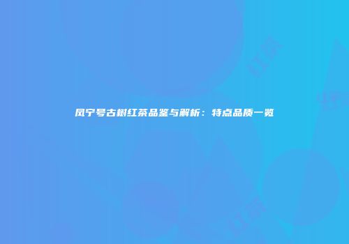 凤宁号古树红茶品鉴与解析：特点品质一览