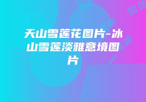 天山雪莲花图片-冰山雪莲淡雅意境图片