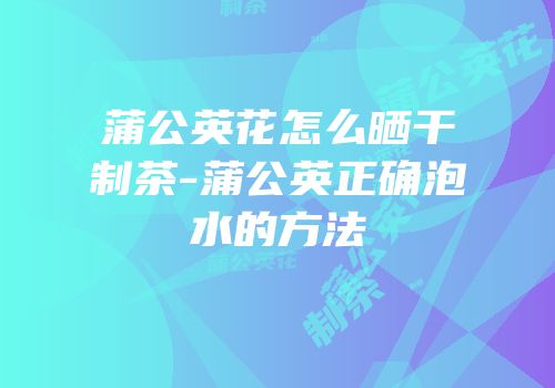 蒲公英花怎么晒干制茶-蒲公英正确泡水的方法
