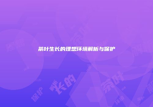 茶叶生长的理想环境解析与保护